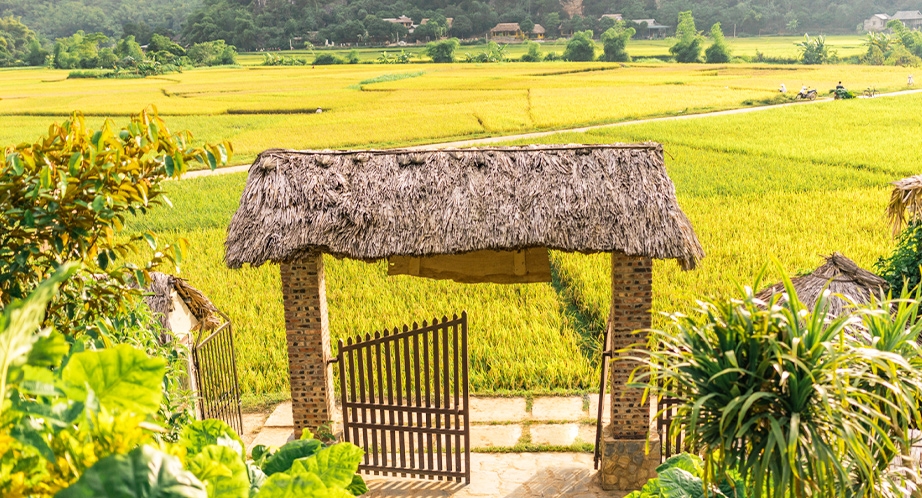 Pu Luong Nature Reserve in Thanh Hoa, Vietnam